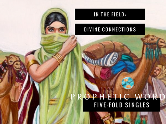 IN THE FIELD: DIVINE CONNECTIONS