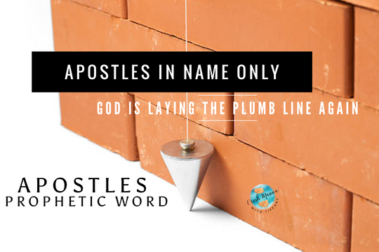 APOSTLES IN NAME ONLY: The Lord Must Lay the Plumb Line Again